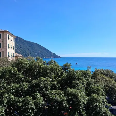 Anciua - Parking Free *